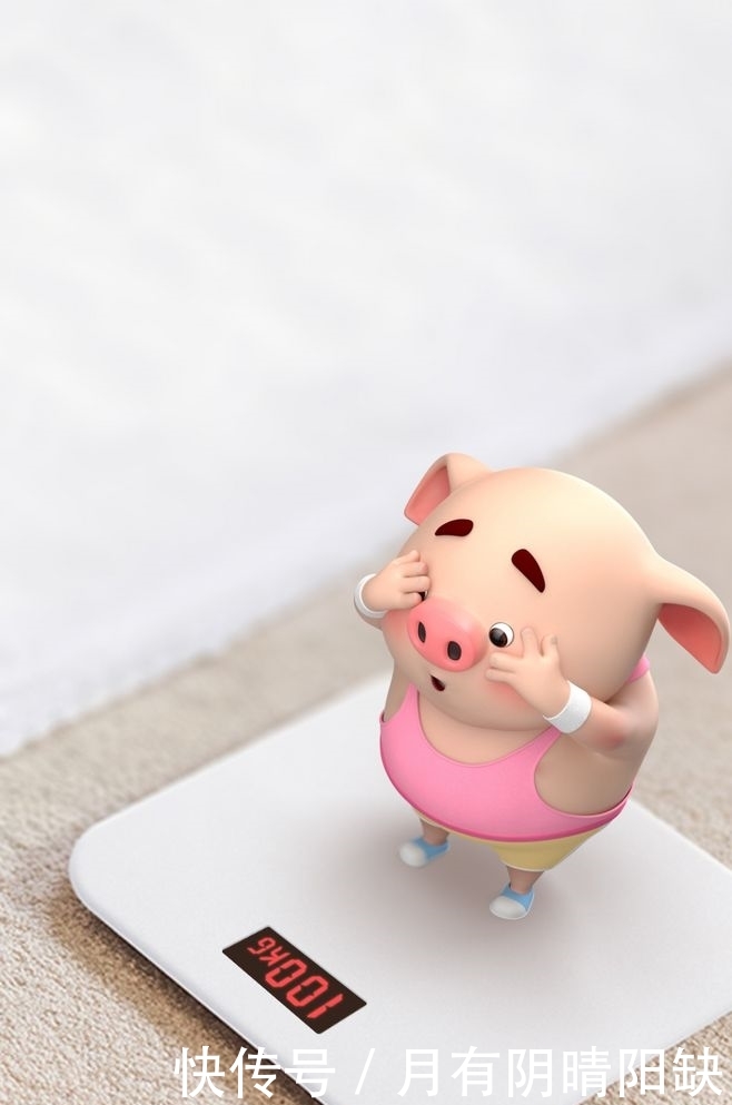 2019最可爱的猪小屁又来了,快拿去做手机壁纸