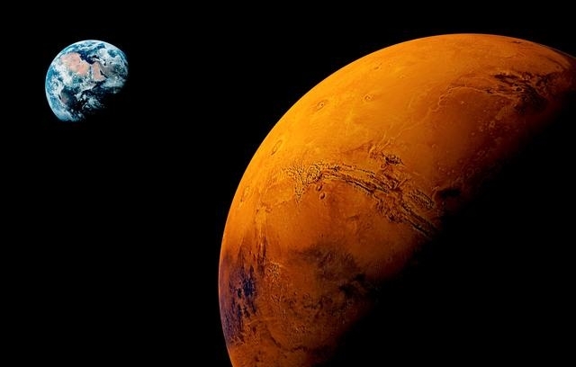 火星上发现疑似生命体的蘑菇,并在慢慢长大