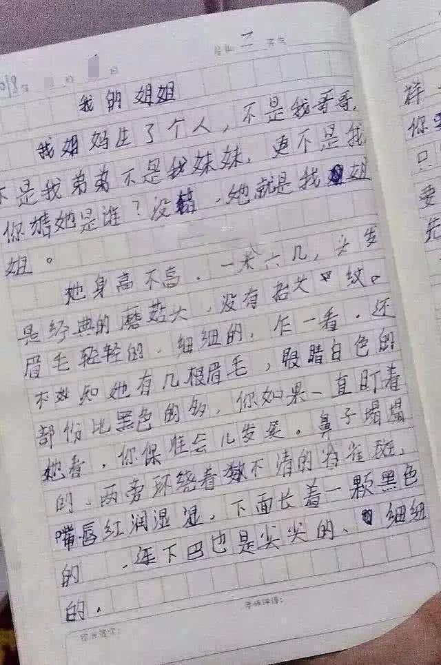 小学生奇葩作文, 老师看了哭笑不得, 爸妈看后追
