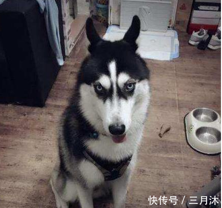 老师发朋友圈道歉: 同学们对不起! 全班作业被