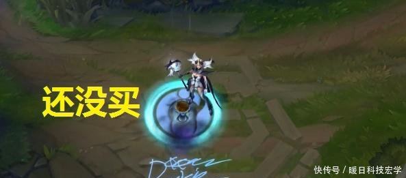 LOL玩家体验IG的6款冠军皮肤后,他给出了一个