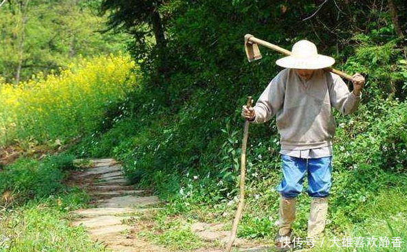 登录查看大图
