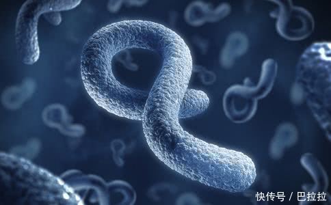 胃痛胃不舒服,幽门螺旋杆菌阳性,调理胃炎此物