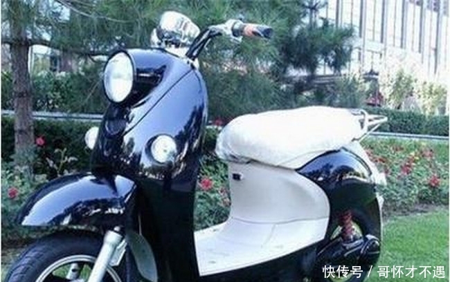 啥子牌子的电瓶车好