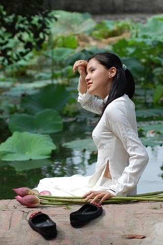 我的<em>美丽越南</em>新娘-360小说