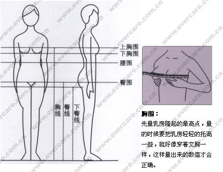 怎么量胸围尺寸图解