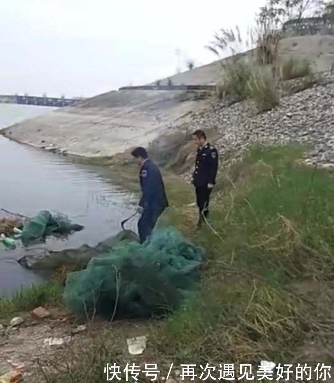 t01b56e990ae878fc2a.jpg?size=1080x1240