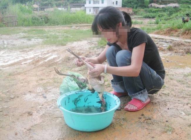 城里姑娘嫁到乡下，不到1个月，父母都不相信这还是原来那个女儿