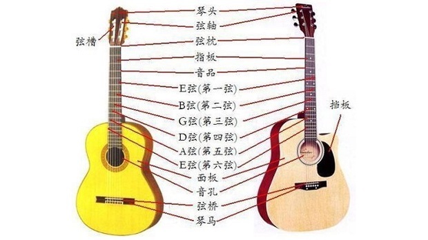 吉他调音器夹在哪里