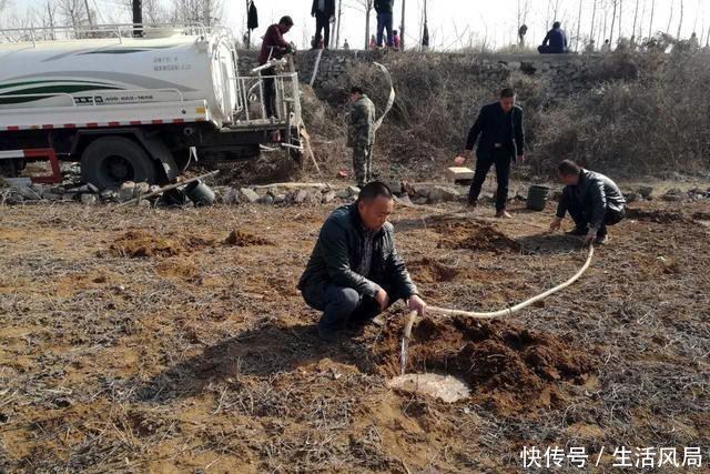 农村这作物，明年种植一亩可赚万元，为啥土豪都害怕不愿意种呢？