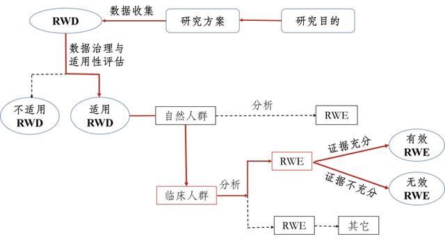 证据规定