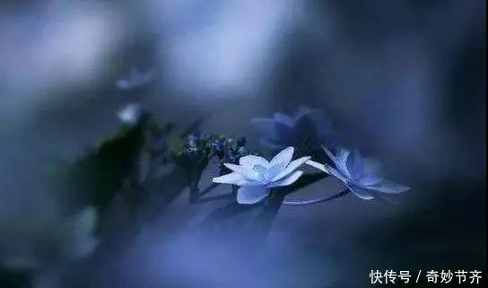 2018,做生意的人一定要看,已被无数老板疯狂转