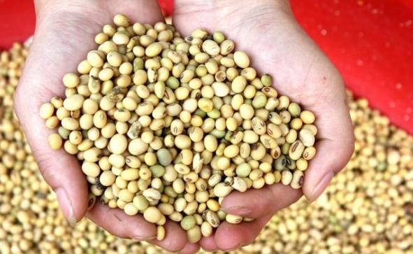 女人40岁绝经合适吗?又会有何改变,绝经后吃什