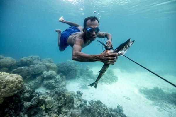 世界最后的“海上民族”,为了潜水刺破耳膜,世代生活在海上 足球买球网站