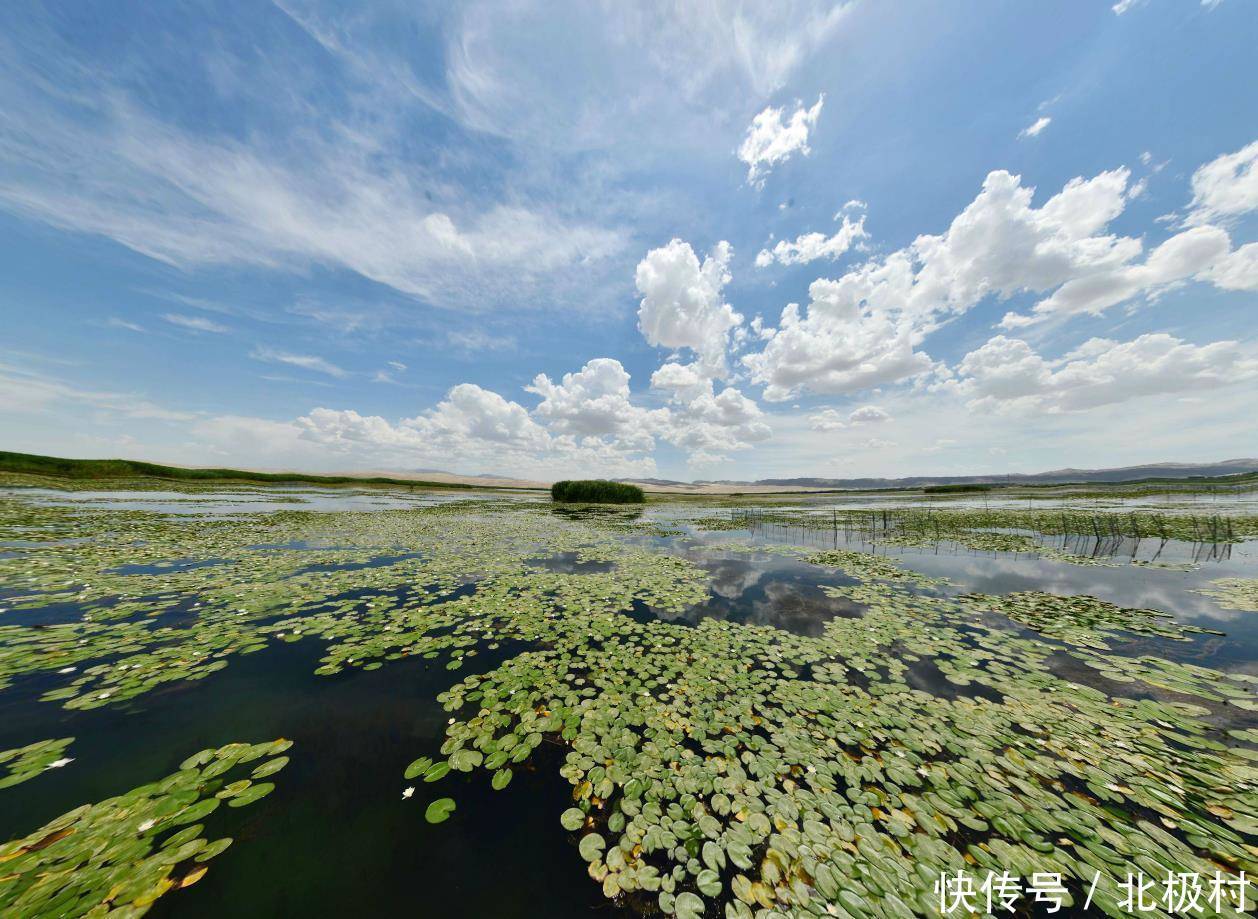 面积最大的地级行政区，相当于四省面积之和的巴音郭楞蒙古自治州