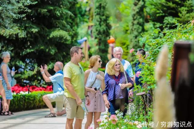 这是什么节奏？新加坡竟然花了10亿打造“原始森林”