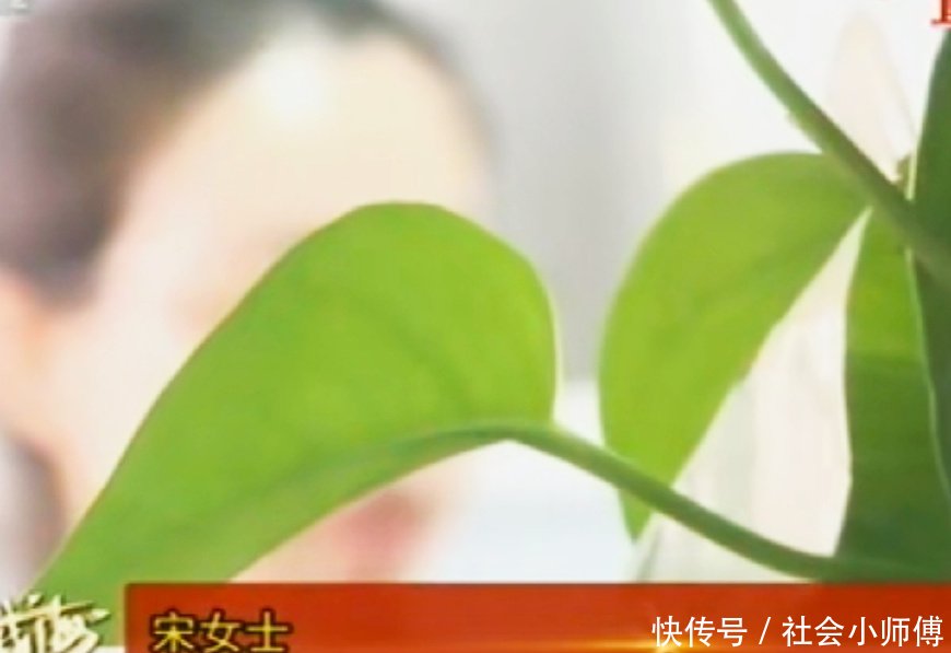 女子花899找代购买包,到货后却要退货,卖家:见