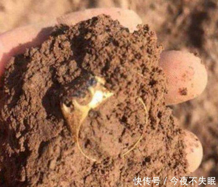 女子破解父亲遗言，半夜深挖院子，挖出的东西让女子大惊失色