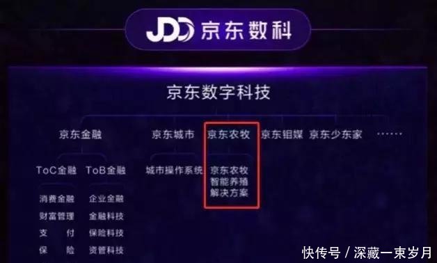 刘强东宣布准备养猪了!京东农牧公司正式成立