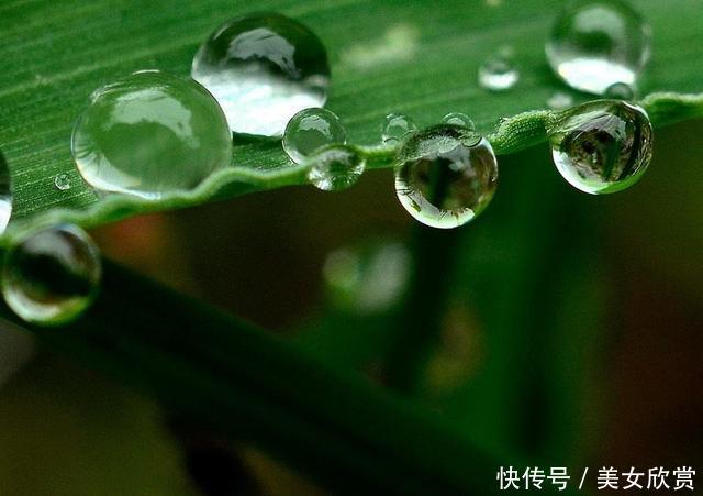 心理测试:哪一幅雨露图看起来让人感觉舒服?测你一生福气是什么 新世纪娱乐网址是多少