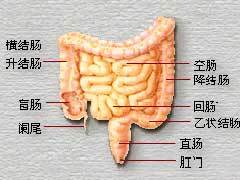 结肠性便秘