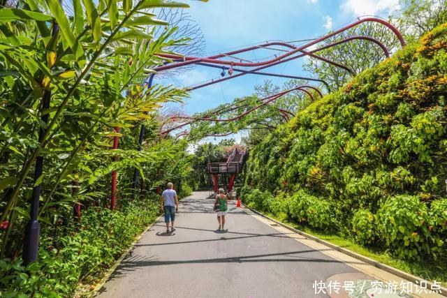 这是什么节奏？新加坡竟然花了10亿打造“原始森林”