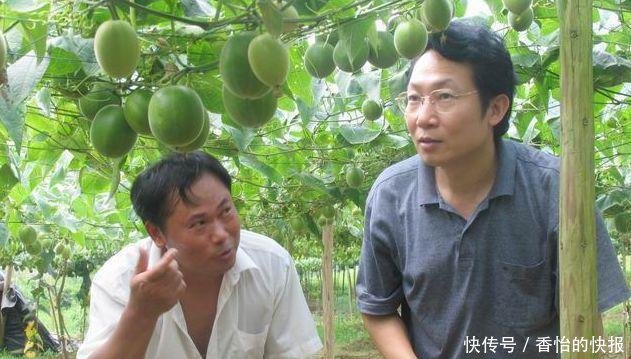 亩产1万个, 一个3块钱, 年赚三十多万, 明年就种