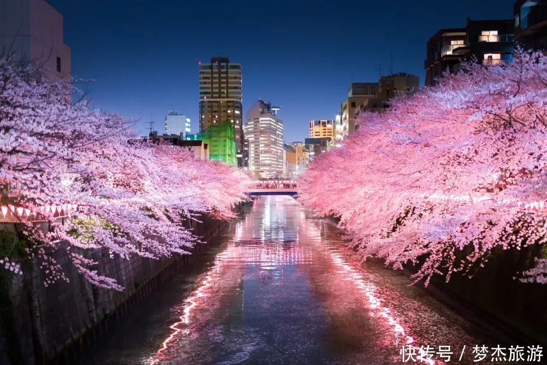 日本网友票选：日本绝景樱花胜地排行榜TOP5！