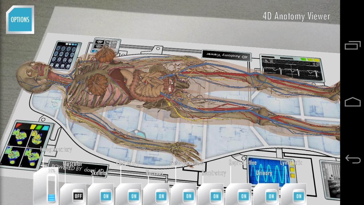 4d anatomy