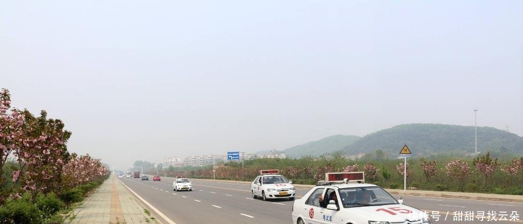 科目三预约失败