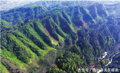 中国山区发现神兽“麒麟”,但只有卫星才能捕捉到其影像