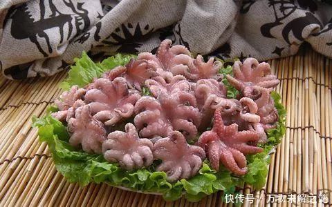 外星人会觉得我们的物种更具有吸引力吗?