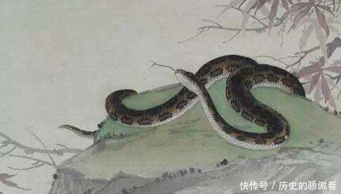 天生善于伪装,表面一套背地里图谋不轨的三大生肖,第一生肖蛇 吉祥坊手机官网