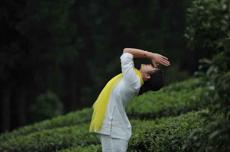 贵州凤岗人口有多少_贵州人口分布地图