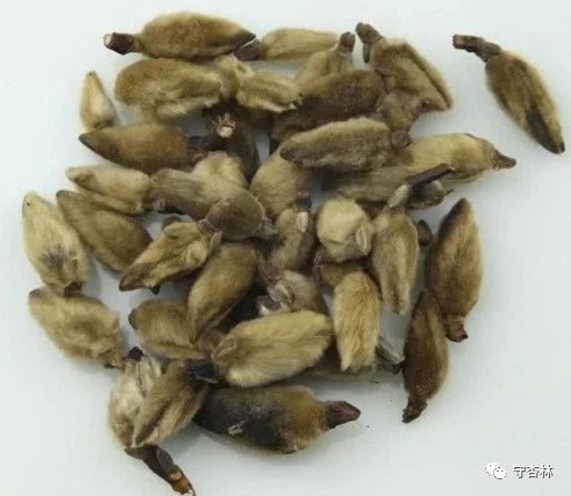 治鼻炎花几千几万,不如这个土方,鸡蛋加它,轻松