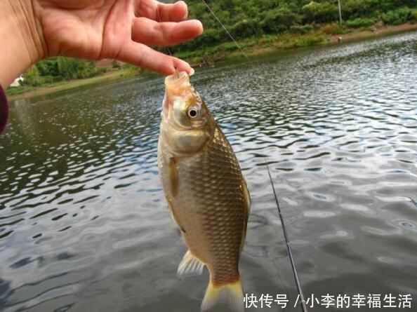 新手如何上鱼 t01cb610e0382564028.jpg?size=594x445