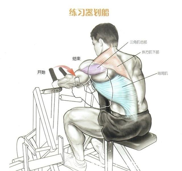 健身教程 图解背部肌肉群锻炼方式