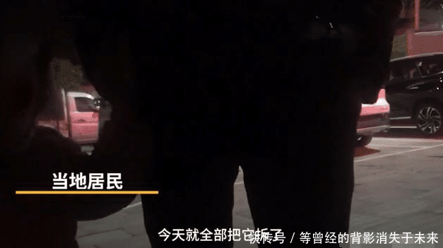 怎么找记者曝光