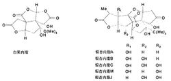 银杏内酯化合物属于萜类化合物,由倍半萜内酯和二萜内酯组成,是银杏叶