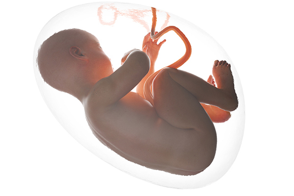 这种血型的妈妈,宝宝易发生新生儿溶血症!