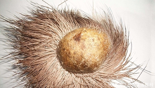 t01d11100b620e51fb6.jpg?size=600x340