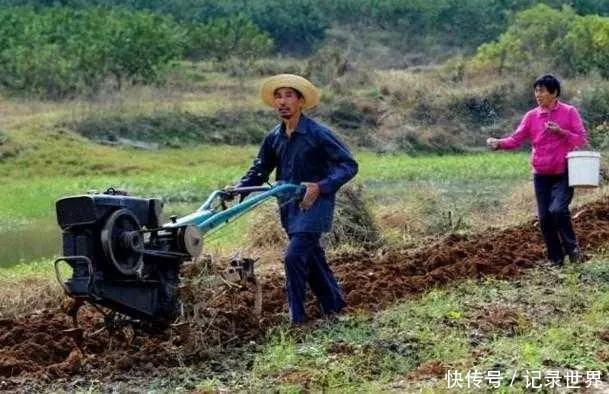 中国那么多农业大学和农科院，为何改变不了农民传统的种地方式？