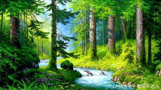 社保能不能补交