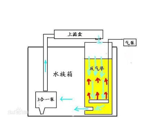 恩施土家族苗族自治州水族館暢想龍巔+龍巔手機(jī)APP