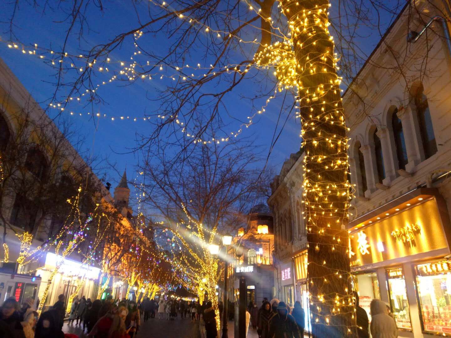 绍兴,合肥,哈尔滨,老龄化人口占比,排名如何呢?