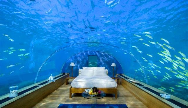 非洲最浪漫酒店,在水里看着鱼睡觉,一个晚上就