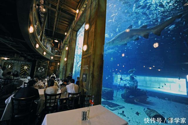 世界上10家风景和味道独特的水下餐厅，中国一处上榜