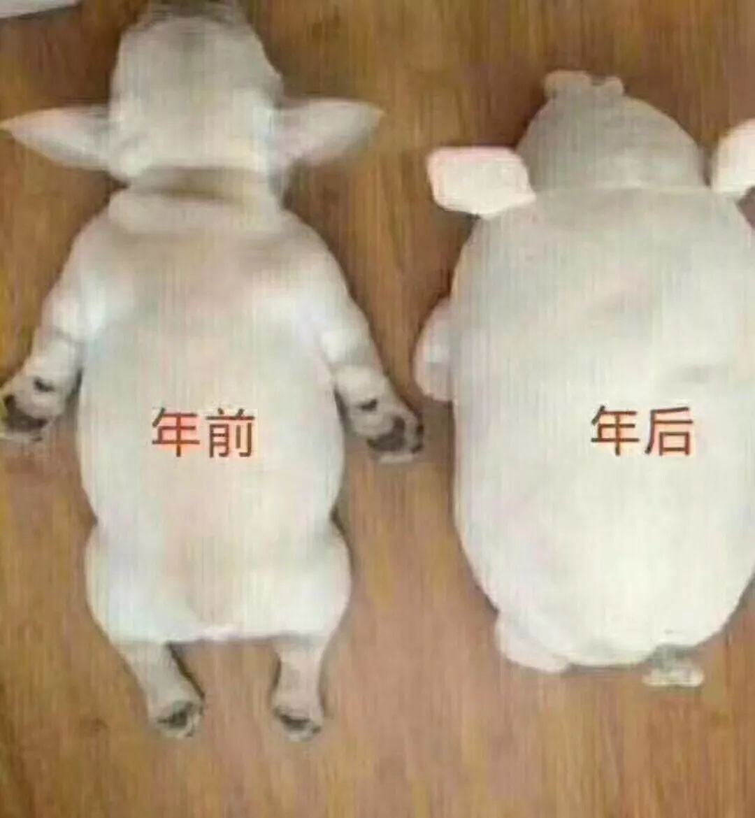 流口水!德宏这些野菜里,藏着春天的味道!