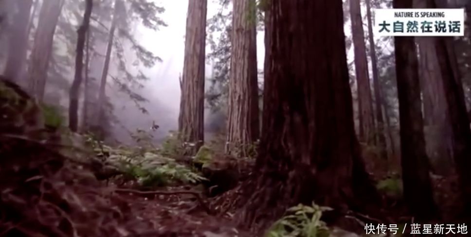 t01d7c8372ce18f94f3.jpg?size=968x488