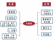 浅谈丙酮酸盐减肥_360问答